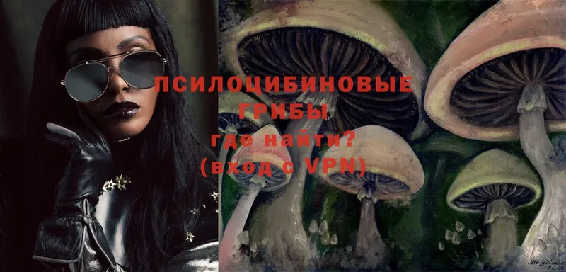 Псилоцибиновые грибы Magic Shrooms Каневская